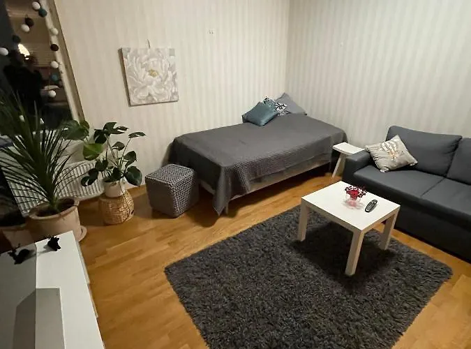 Studiohuoneisto Valtakatu 45, Sauna, Ac, Wifi Lappeenranta